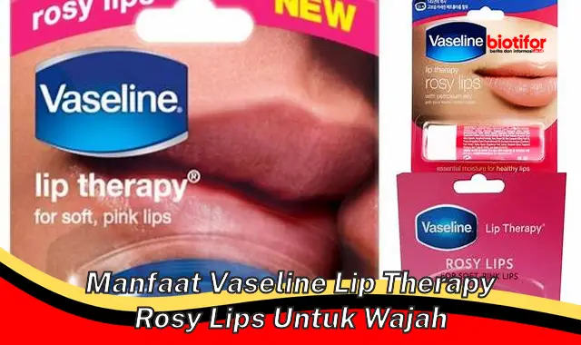 Ungkap Manfaat Vaseline Lip Therapy Rosy Lips untuk Wajah yang Jarang Diketahui