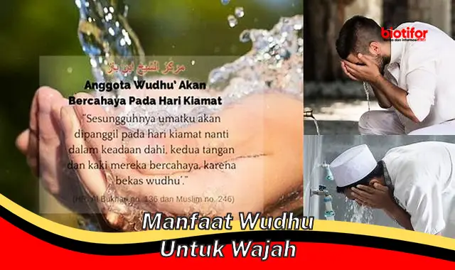 Temukan Khasiat Wudhu untuk Wajah yang Belum Diketahui