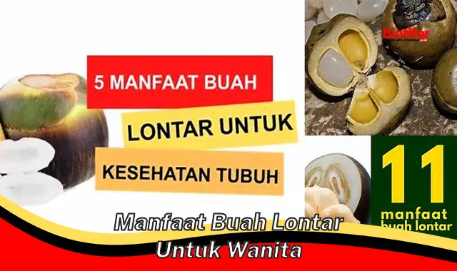 Temukan Manfaat Mengejutkan Buah Lontar untuk Wanita, Jarang Diketahui!