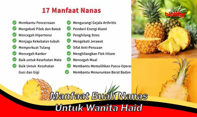 Temukan Rahasia Manfaat Nanas untuk Wanita Haid yang Jarang Diketahui