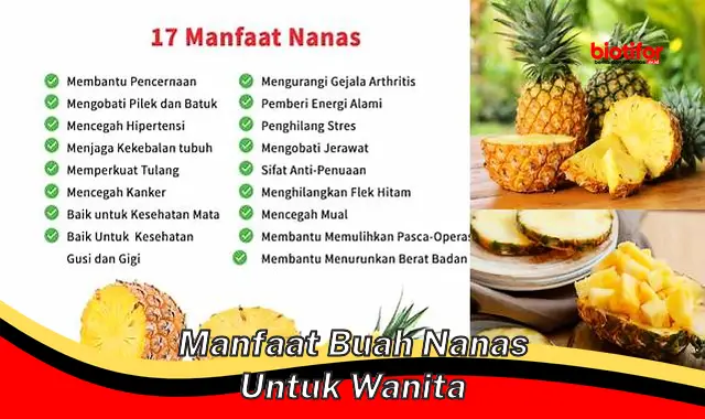 manfaat buah nanas untuk wanita manfaat buah nanas untuk wanita