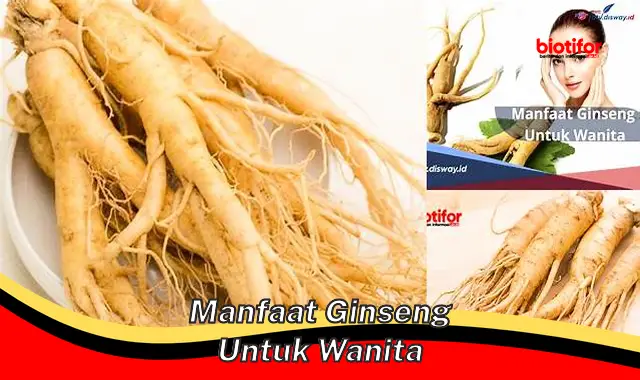 Temukan Berbagai Manfaat Ginseng untuk Wanita, Salah Satunya yang Jarang Diketahui