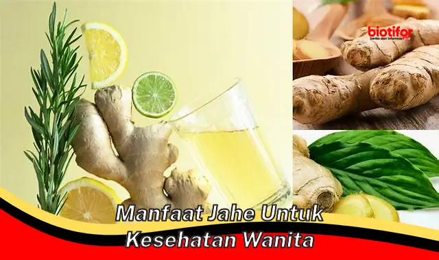 Temukan Manfaat Jahe untuk Kesehatan Wanita yang Jarang Diketahui