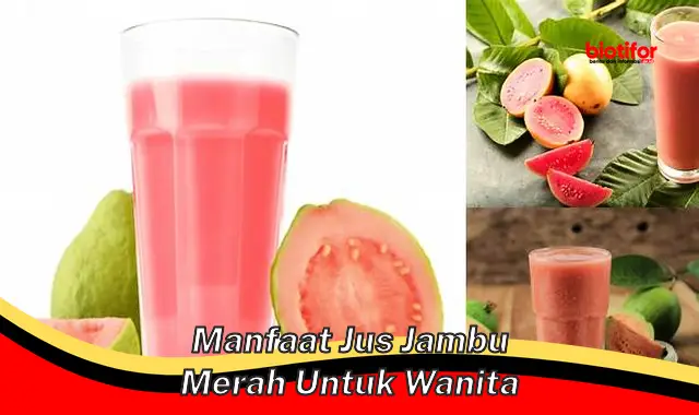 Temukan Khasiat Jus Jambu Merah untuk Wanita yang Jarang Diketahui