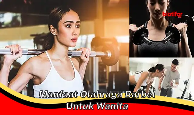 Temukan Manfaat Olahraga Barbel untuk Wanita yang Jarang Diketahui