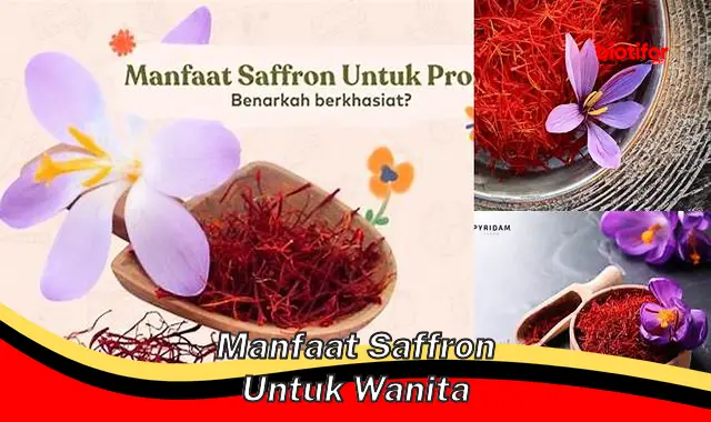 Temukan Manfaat Saffron untuk Wanita yang Jarang Diketahui