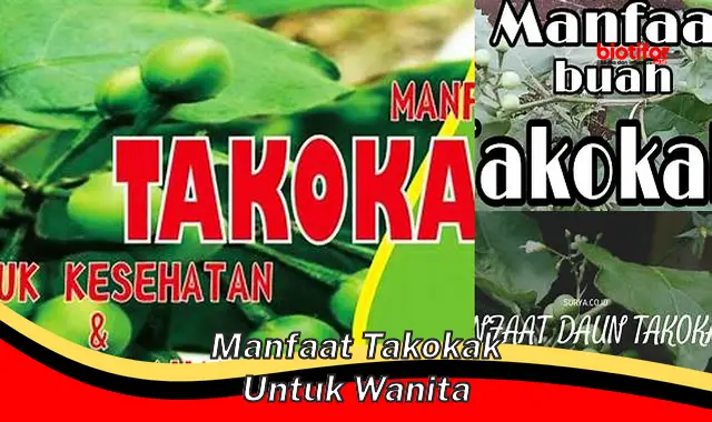 Temukan Khasiat Kelor untuk Wanita: Langka Diketahui!