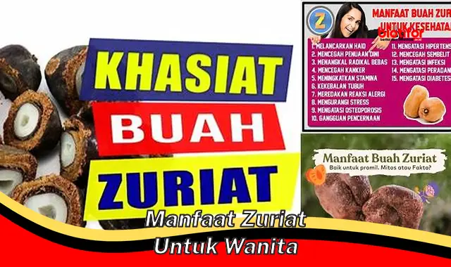 Ungkap 5 Manfaat Zuriat Untuk Wanita yang Jarang Diketahui