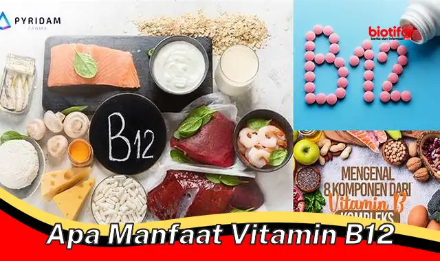 Temukan 5 Manfaat Vitamin B12 Jarang Diketahui yang Penting Kamu Tahu