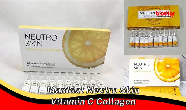Temukan Manfaat Neutro Skin Vitamin C Collagen yang Jarang Diketahui