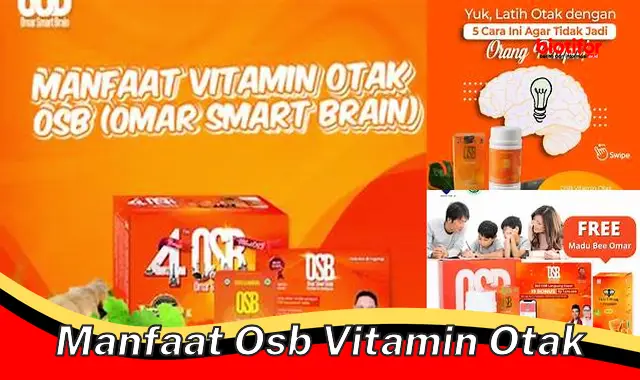 Temukan Manfaat OSB Vitamin Otak yang Jarang Diketahui