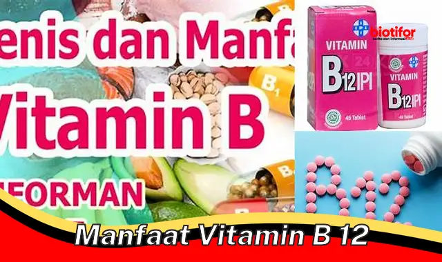 Temukan 5 Manfaat Vitamin B12 yang Jarang Diketahui dan Wajib Anda Ketahui