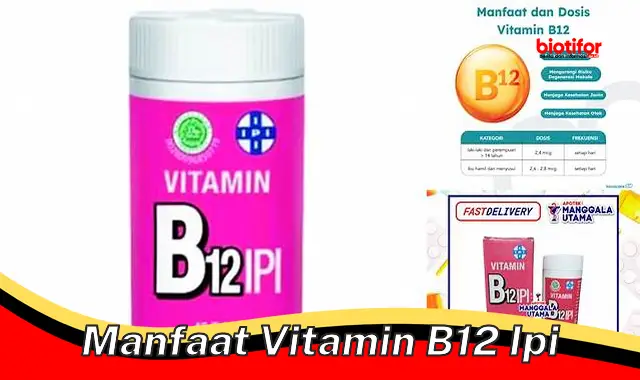 Temukan 5 Manfaat Vitamin B12 IPI yang Jarang Diketahui