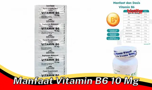 Temukan Manfaat Vitamin B6 10 mg yang Jarang Diketahui