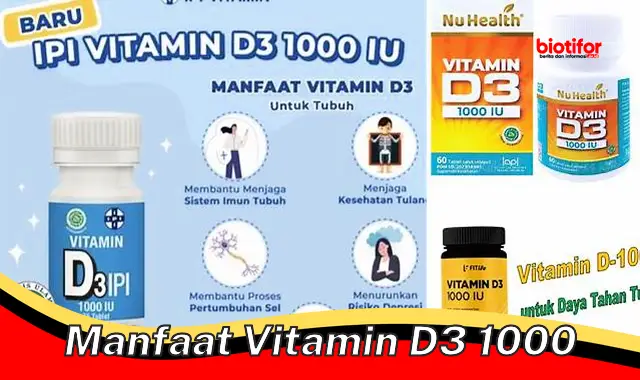Temukan Manfaat Vitamin D3 1000 yang Jarang Diketahui