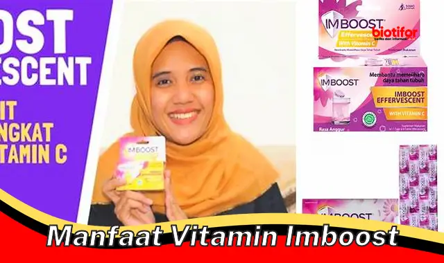 manfaat vitamin imboost manfaat vitamin imboost