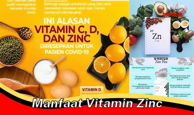5 Manfaat Vitamin Zinc yang Jarang Diketahui