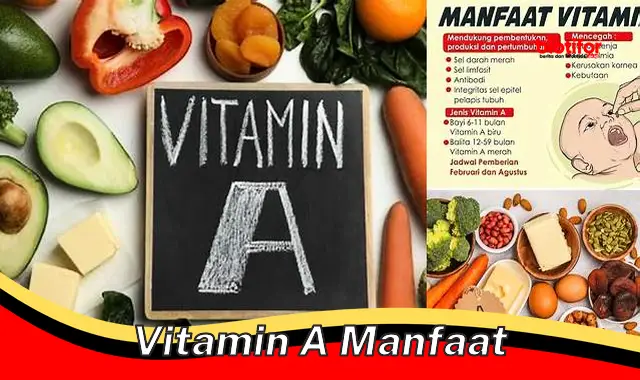 Temukan Manfaat Vitamin A yang Jarang Diketahui