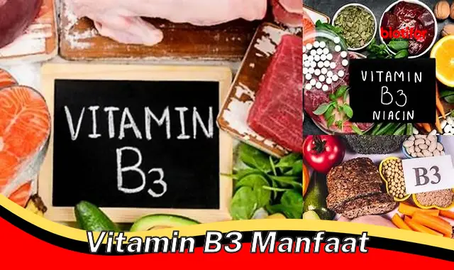 Temukan Khasiat Vitamin B3 yang Wajib Anda Ketahui