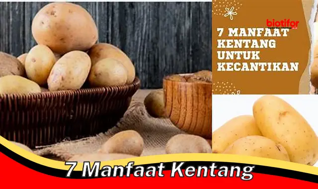 Temukan 7 Manfaat Kentang yang Jarang Diketahui