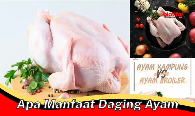 5 Khasiat Daging Ayam Jarang Diketahui yang Perlu Anda Tau