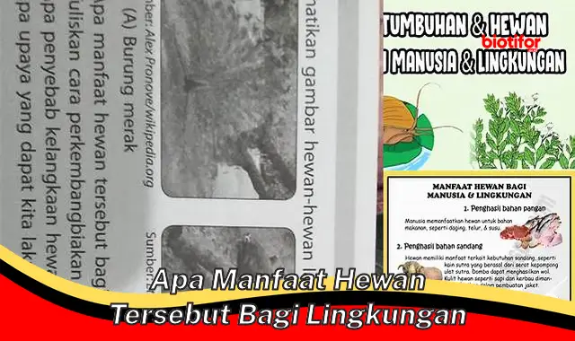 Temukan Manfaat Hewan bagi Lingkungan yang Jarang Diketahui