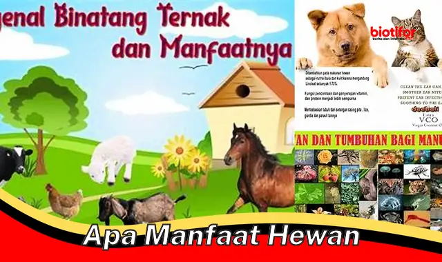 Temukan Manfaat Hewan yang Jarang Diketahui