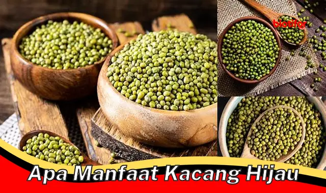 Temukan Manfaat Kacang Hijau yang Anda Perlu Tahu