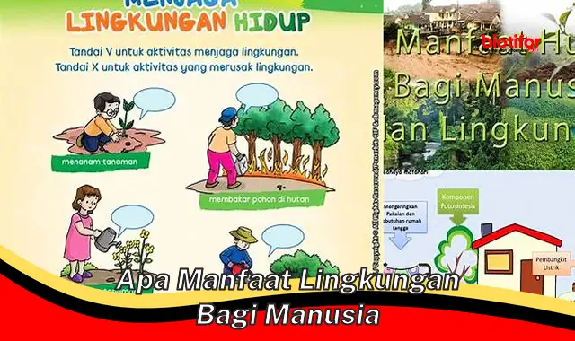 Temukan 5 Manfaat Lingkungan bagi Manusia yang Jarang Diketahui