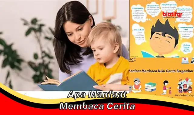 apa manfaat membaca cerita apa manfaat membaca cerita