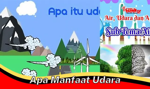 apa manfaat udara apa manfaat udara