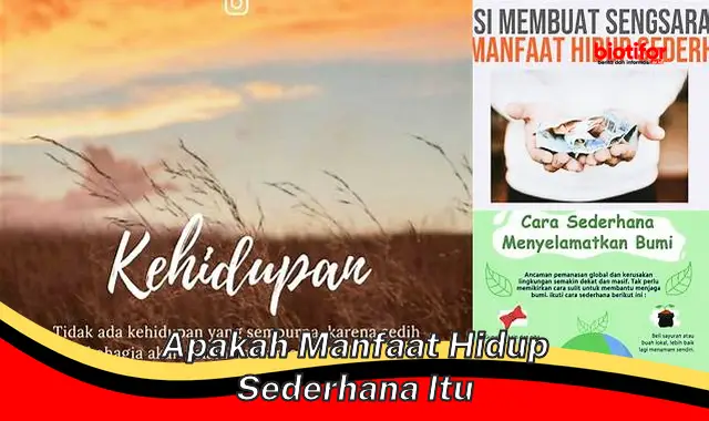 apakah manfaat hidup sederhana itu apakah manfaat hidup sederhana itu