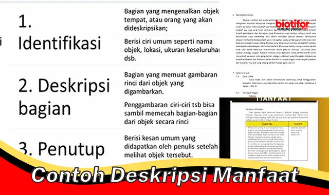 Temukan 5 Manfaat Mengejutkan yang Jarang Diketahui