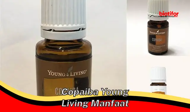copaiba young living manfaat copaiba young living manfaat