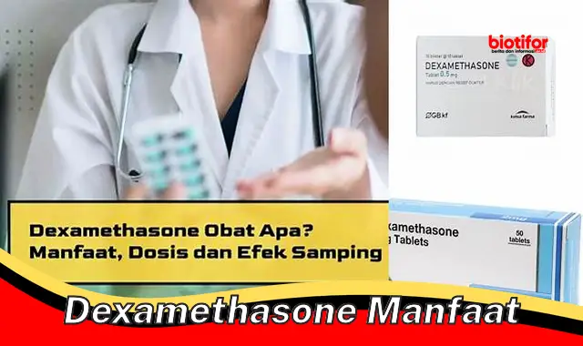 dexamethasone manfaat dexamethasone manfaat