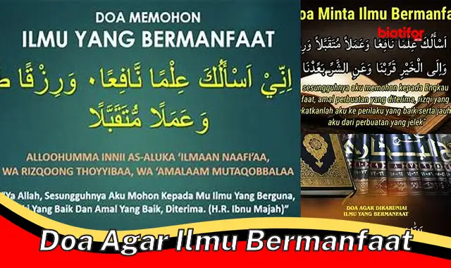 Temukan Manfaat Doa Agar Ilmu Bermanfaat yang Jarang Diketahui