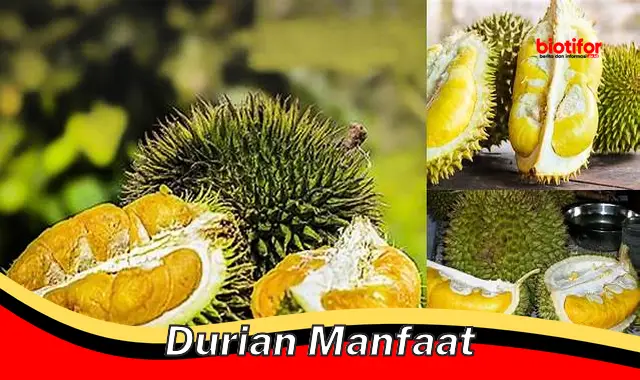 Temukan Manfaat Durian yang Jarang Diketahui