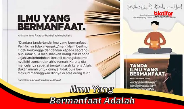 Ungkap 5 Manfaat Ilmu yang Bermanfaat yang Jarang Anda Ketahui