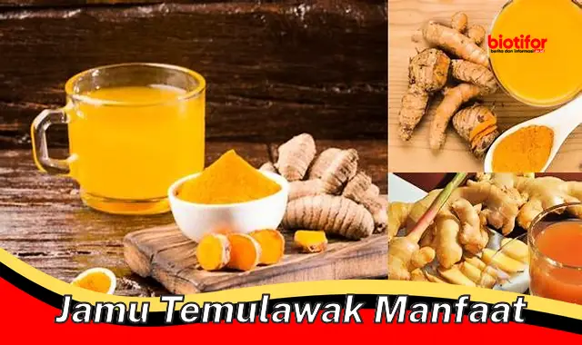 Temukan Rahasia Khasiat Jamu Temulawak yang Jarang Diketahui