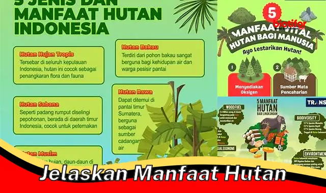 jelaskan manfaat hutan jelaskan manfaat hutan