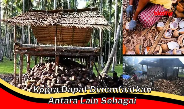 kopra dapat dimanfaatkan antara lain sebagai kopra dapat dimanfaatkan antara lain sebagai