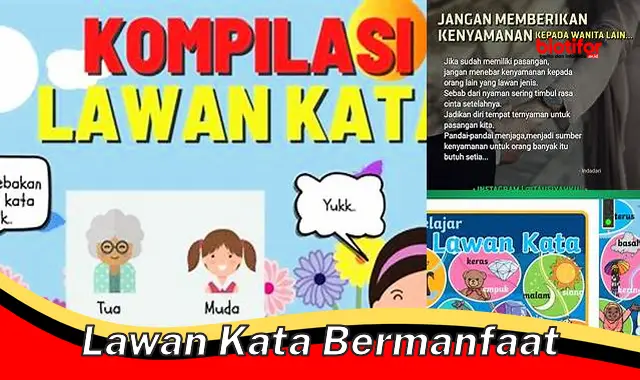 Temukan Manfaat Lawan Kata yang Anda Butuhkan