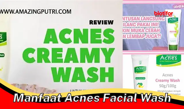 manfaat acnes facial wash manfaat acnes facial wash