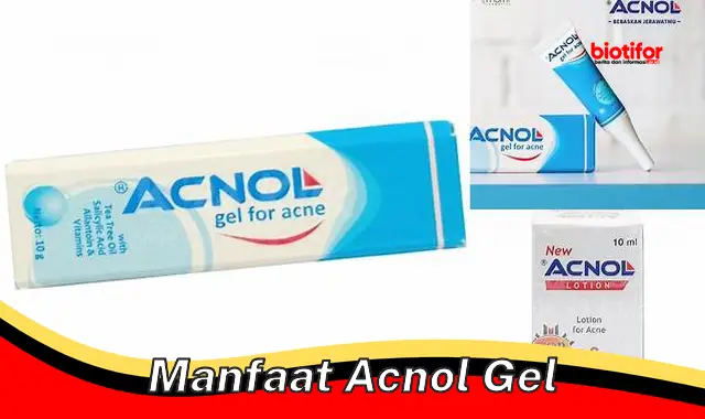 Temukan Manfaat Acnol Gel yang Jarang Diketahui yang Perlu Anda Ketahui