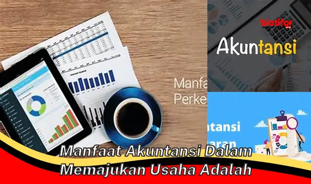 Temukan Manfaat Akuntansi Jarang Diketahui untuk Kemajuan Bisnis