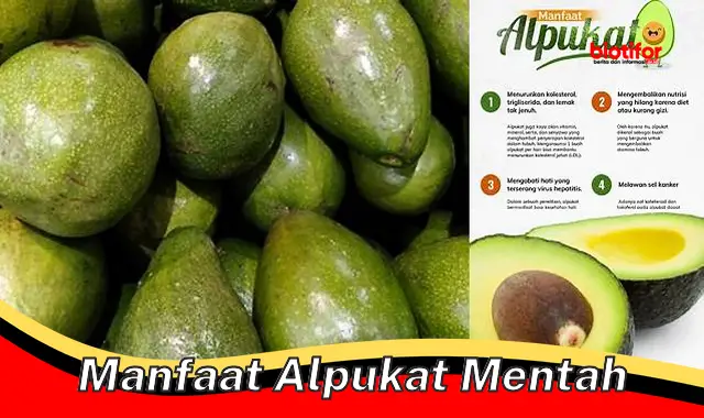 manfaat alpukat mentah manfaat alpukat mentah