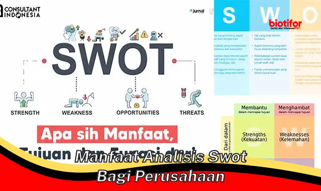 Temukan Keuntungan Analisis SWOT Bagi Perusahaan yang Jarang Diketahui