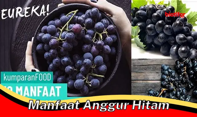 Temukan Manfaat Anggur Hitam Jarang Diketahui yang Wajib Kamu Tahu