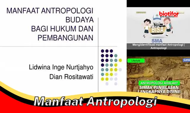 Temukan 5 Manfaat Antropologi yang Jarang Diketahui
