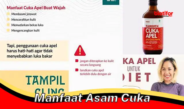 manfaat asam cuka manfaat asam cuka